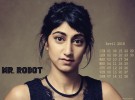 Mr. Robot Calendriers 